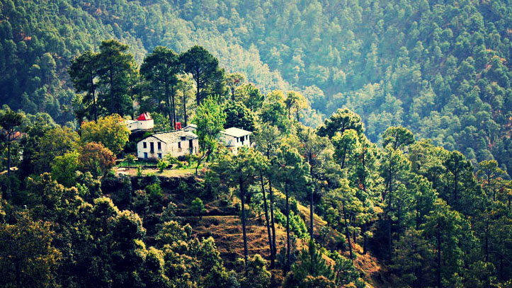 binsar-sanctuary