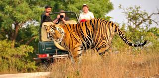 nainital-corbett-wildlife