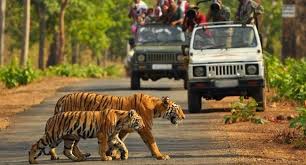 nainital-corbett